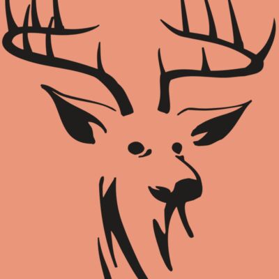 RR HUNT 42 RQC Thumbnail