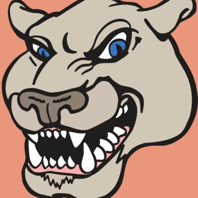 AR5 COUGAR 10 RQC Thumbnail