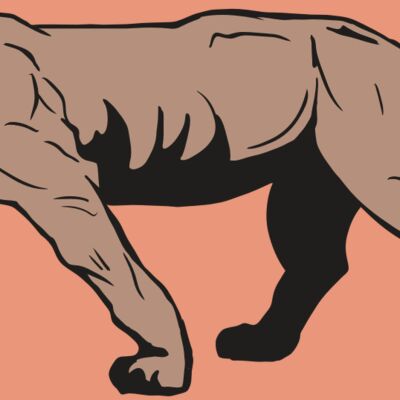 AR10 PANTHER 04 RQC Thumbnail