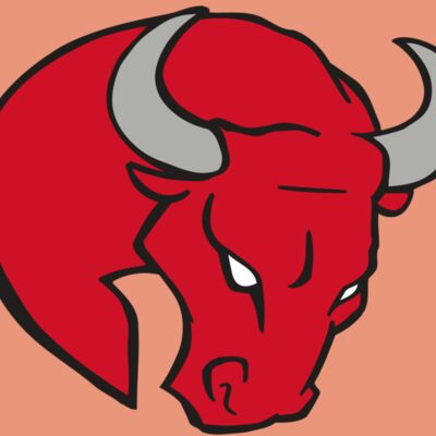 AR BULL 24 RC Thumbnail