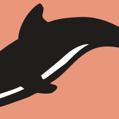 AR DOLPIN 16 RC Thumbnail