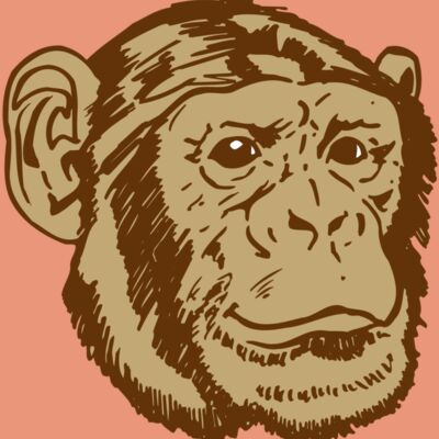 AR OTHER 47 RC Thumbnail