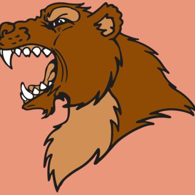 AR BEAR 22 RC Thumbnail