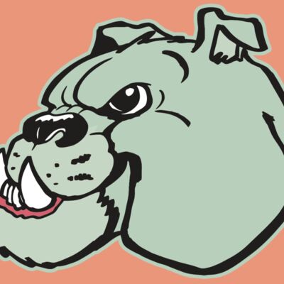 AR BDOG 29 RC Thumbnail