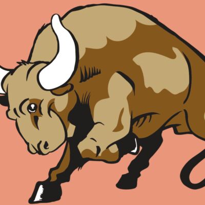 AR BULL 41 RC Thumbnail