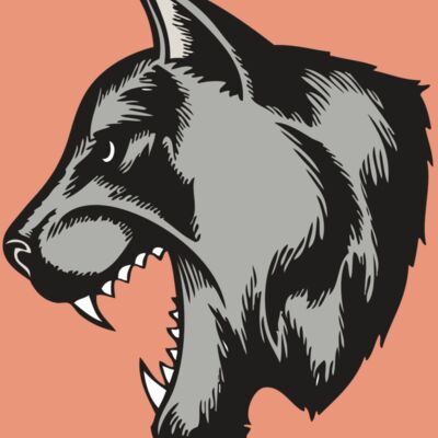 BAW COUG PANTH 06 RC Thumbnail