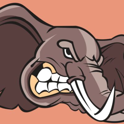 ELEPHANT HD0501 RQC Thumbnail