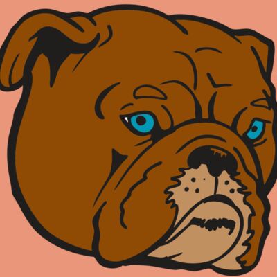 AR BDOG 86 RC Thumbnail