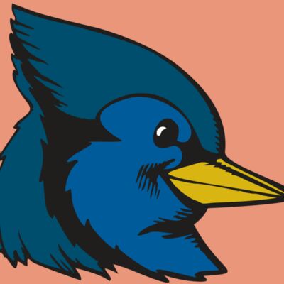 BAW BLUEJAY 07 RC Thumbnail