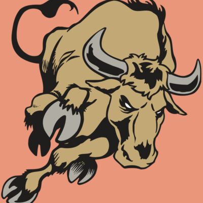 AR BULL 51 RC Thumbnail