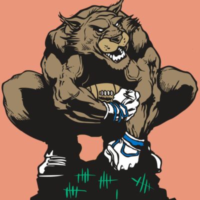 AR WILDCAT 34 RC Thumbnail