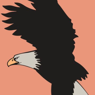 AR EAGLE 91 RC Thumbnail