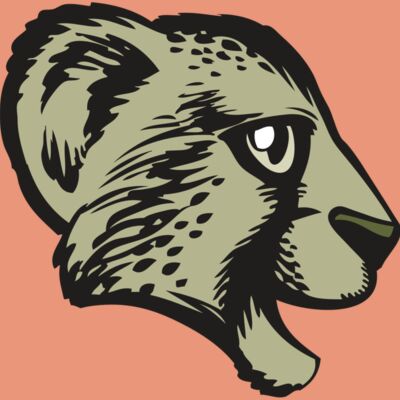 BAW CHEETAH 17 RC Thumbnail