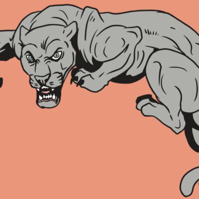 AR10 PANTHER 02 RQC Thumbnail