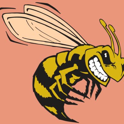 AR BEE 50 RC Thumbnail