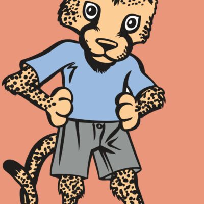 BAW CHEETAH 03 RC Thumbnail