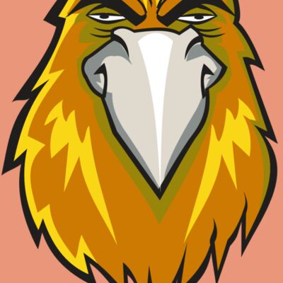 HAWK HD0501 RQC Thumbnail