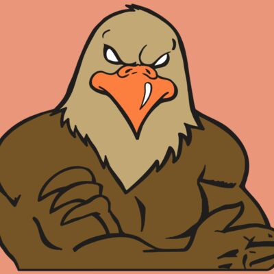 AR FALCON 26 RC Thumbnail