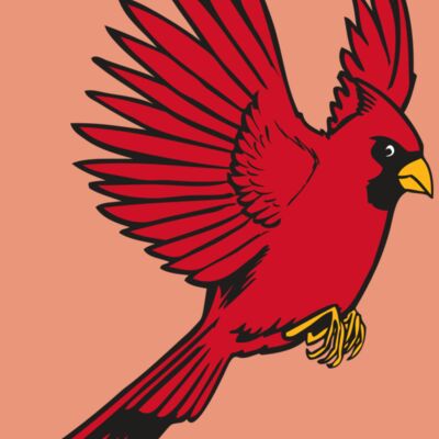 BAW CARDINAL 19 RC Thumbnail