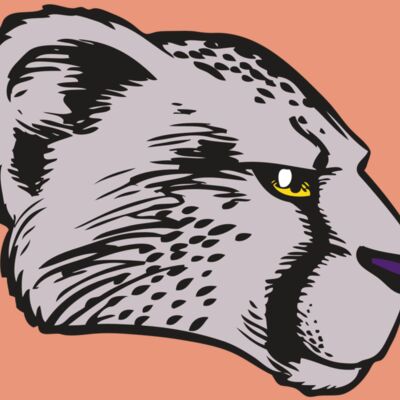 BAW CHEETAH 20 RC Thumbnail