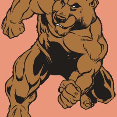 AR BEAR 35 RC Thumbnail