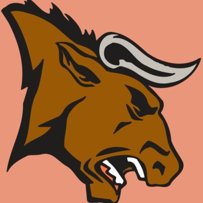 AR BULL 38 RC Thumbnail