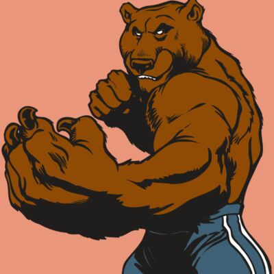 AR BEAR 31 RC Thumbnail