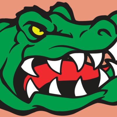 AR GATOR 19 RQC Thumbnail