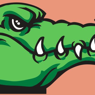 AR GATOR 15 RQC Thumbnail