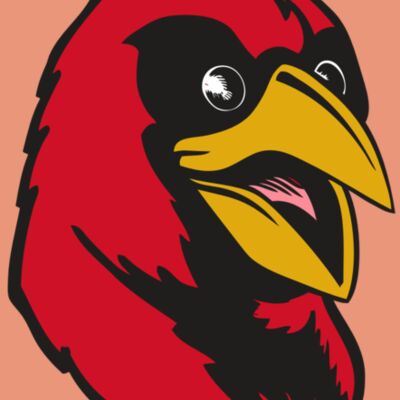 BAW CARDINAL 05 RC Thumbnail