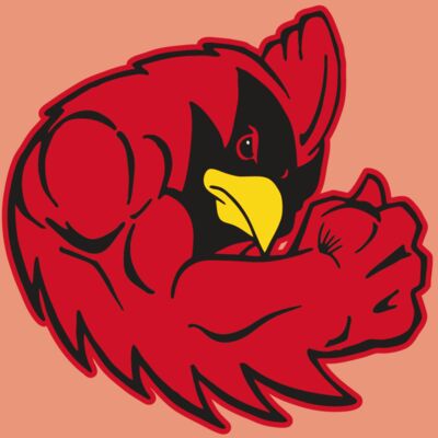 AR CARDINAL 29 RC Thumbnail