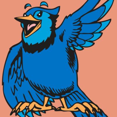 BAW BLUEJAY 06 RC Thumbnail