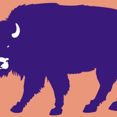 AR BUFF 23 RC Thumbnail