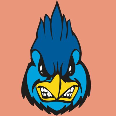 BAW BLUEJAY 02 RC Thumbnail