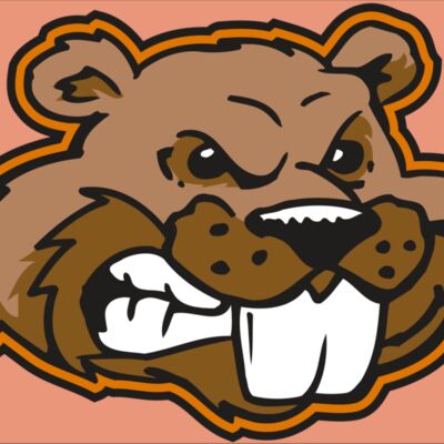 AR BEAVER 11 RC Thumbnail