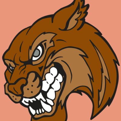 AR5 BOBCAT 07 RQC Thumbnail