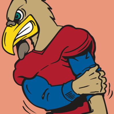 AR GCOCK 10 RC Thumbnail