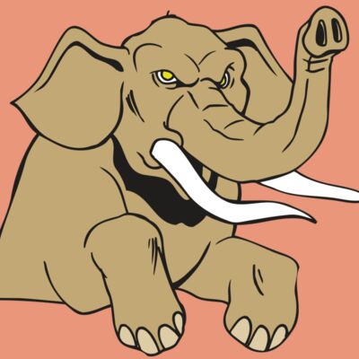 AR ELEPH 19 RC Thumbnail