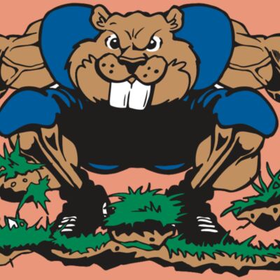 AR14 BEAVER FBLL 04 RQC Thumbnail