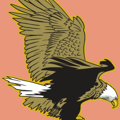 AR10 EAGLE 01 RQC Thumbnail