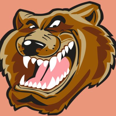 BEAR HD0503 RQC Thumbnail