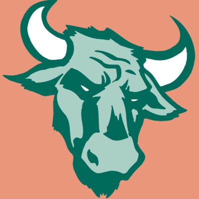 AR BULL 37 RC Thumbnail