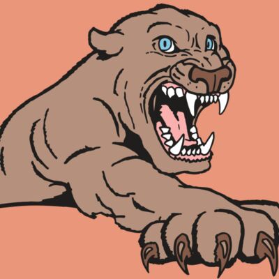 AR5 COUGAR 20 RQC Thumbnail