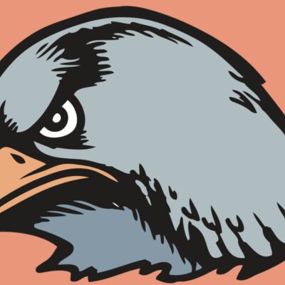 BAW HWK FLCN 03 RC Thumbnail