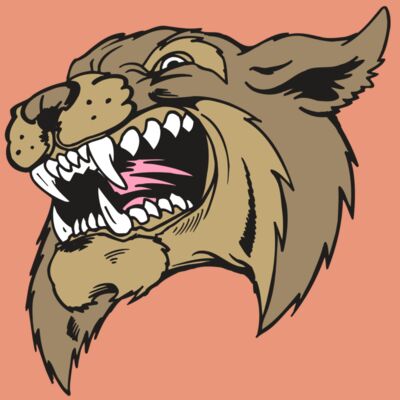 AR5 BOBCAT 09 RQC Thumbnail