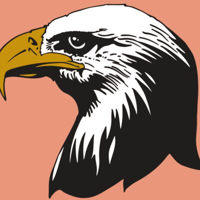 AR EAGLE 87 RC Thumbnail