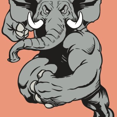 AR ELEPH 18 RC Thumbnail