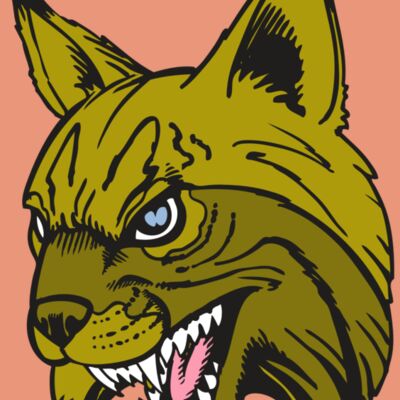 BAW BOBCAT 05 RC Thumbnail