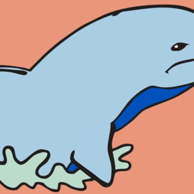 AR DOLPIN 14 RC Thumbnail