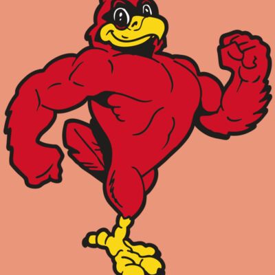 AR CARDINAL 41 RC Thumbnail